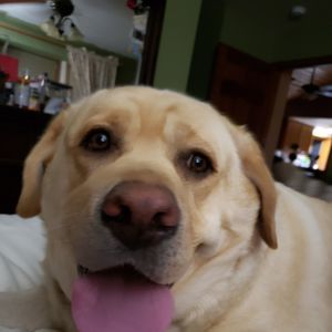 Meet your Posher, Anna